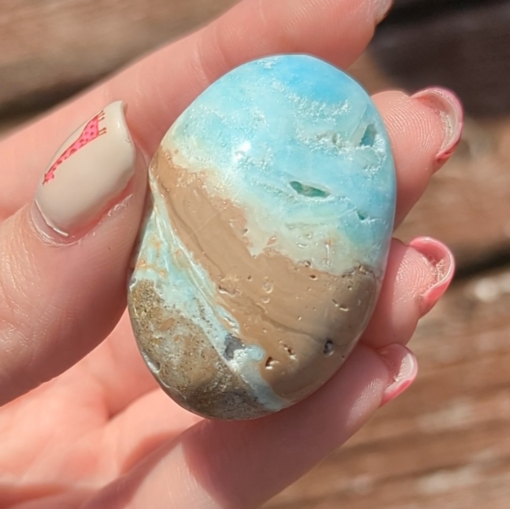 Blue Aragonite Mini Palm